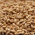 White Wheat Malt - 50 LB