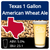 Texas 1 Gallon American Wheat Ale