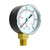 Regulator Gauge 30 PSI Top Mount With 1/4" MPT