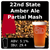 22nd State Amber Ale - Partial Mash