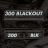 300 BLACKOUT THUMBNAIL