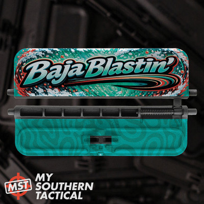 AR-15 Ejection Port Dust Cover - b