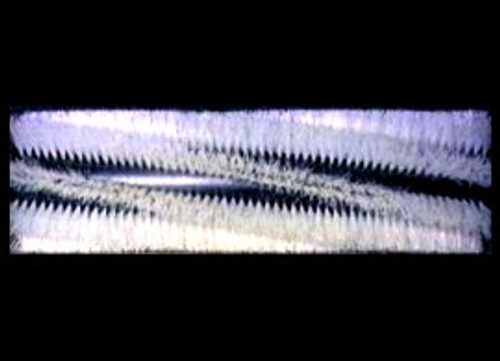 49.5 Main Broom 8 D.R. Nylon | 19166020 49.5 Main Broom 8 D.R. Nylon | 19166020