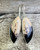 Wing Like Large Free Form Petrified Palm Wood Sterling Silver Earrings 