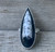 Unique Rocker Statement Teardrop Orthoceras Fossil Skeleton  Sterling Silver Ring