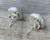 Large Round White Aurora Opal Quartz Doublet Sterling Silver Earring Studs