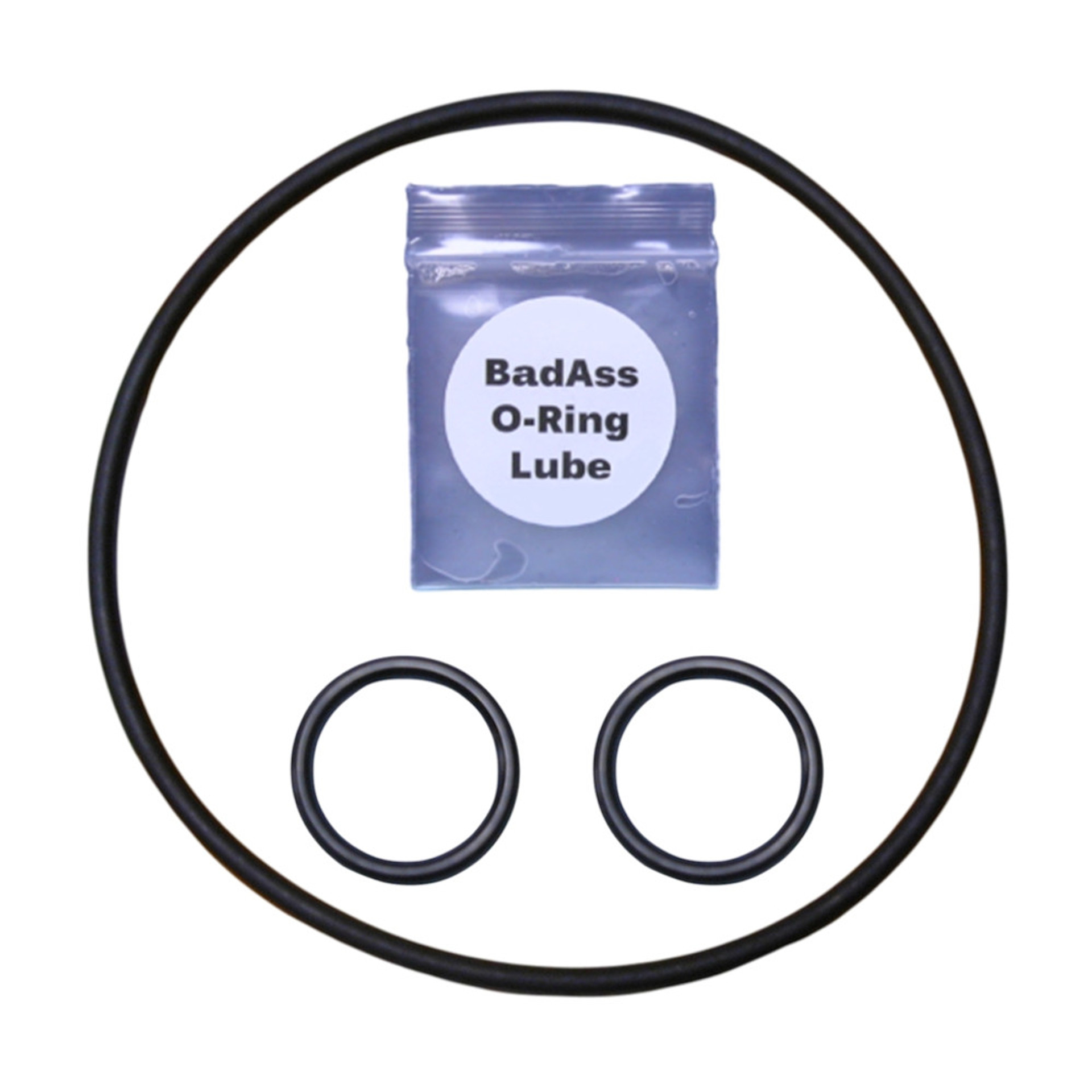 JandyZodiac R0487100/1307 and 1132 Valve ORing Kit 154 FREE