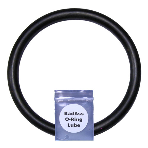Zodiac O-Ring Mit Heckstück – Ersatzteil Für Jandy Pool- Und Spa-Pumpen