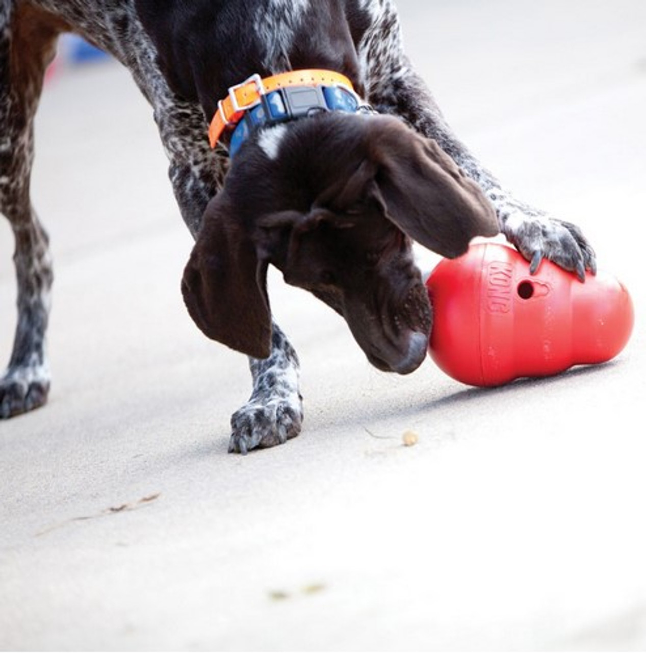 Dogzilla Rubber Treat Dispensing Dog Toys Small Red