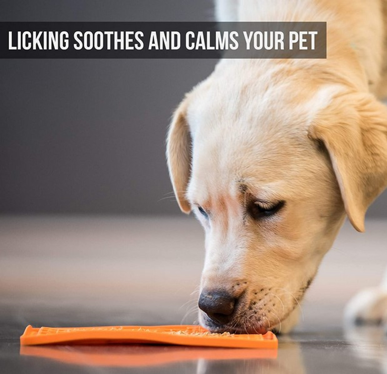 LickiMat™, Boredom Busters for Dogs, Interactive Toys