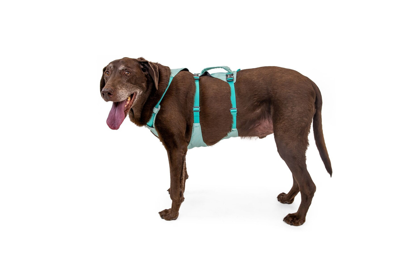 Ruffwear Flagline Dog Harness With Handle - Northwest Pets