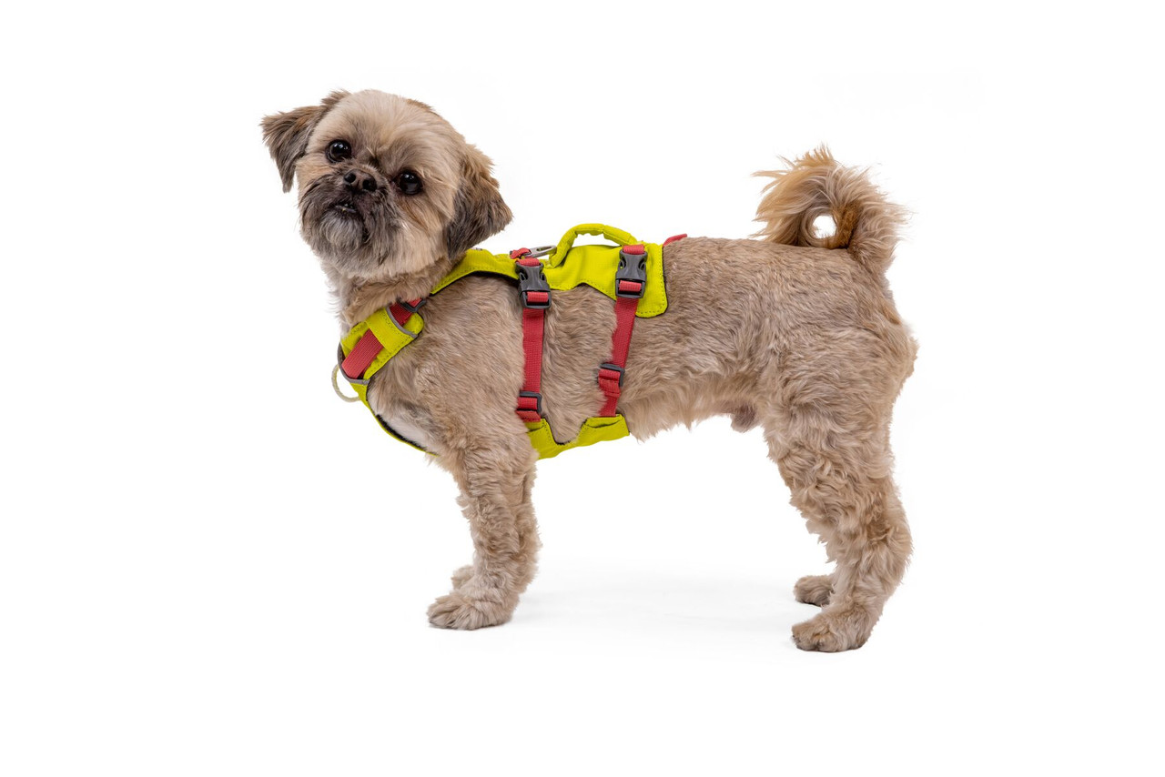 Ruffwear Flagline Dog Harness With Handle - Northwest Pets