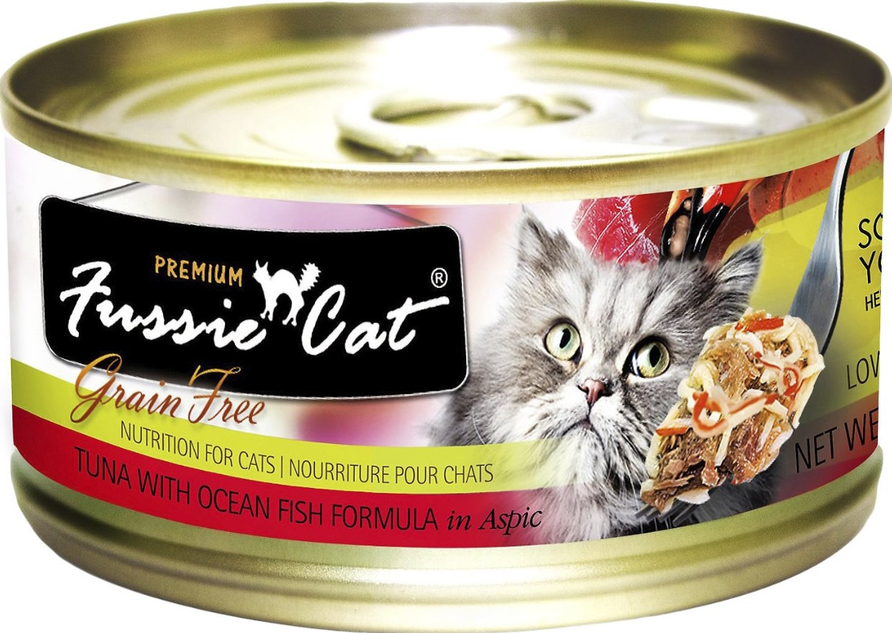 Fussy clearance cat salmon