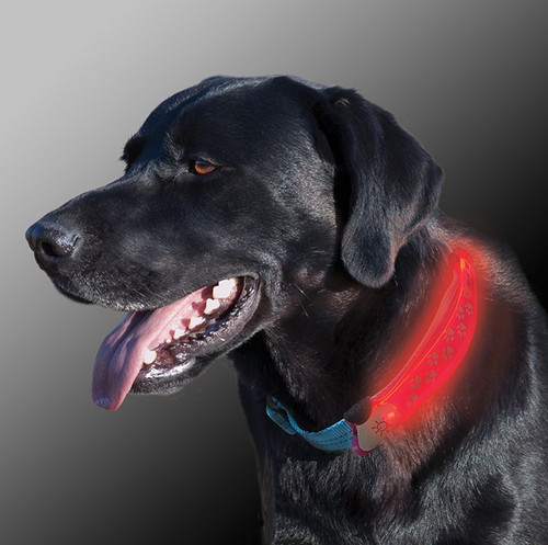 Nite Ize Nite Dawg LED Illuminated Dog Collar Cover