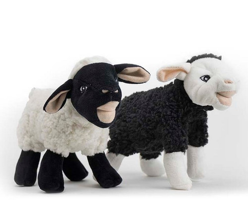 SteelDog Barnyard Ballers Sheep Plush Dog Toy