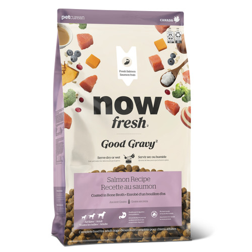 Now Fresh Good Gravy Salmon Dry Dog Food Coated in Bone Broth for