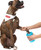 Dexas Mudbuster Gentle Dog Paw Washer