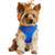 Doggie Design Wrap and Snap Choke Free Dog Harness