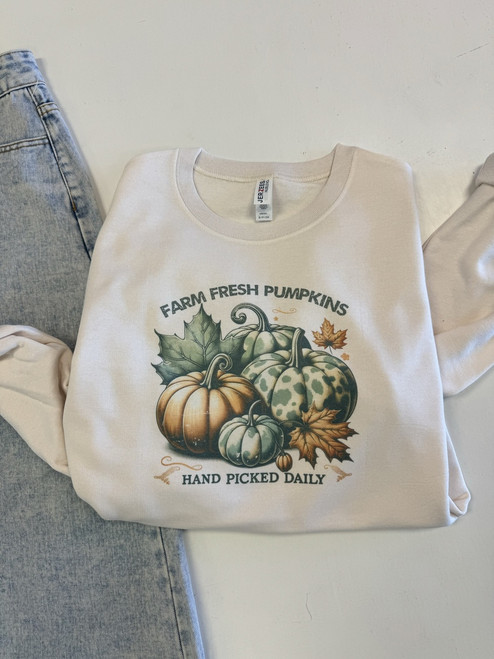 Sage Green Farm Fresh Pumpkins Sweatshirt 