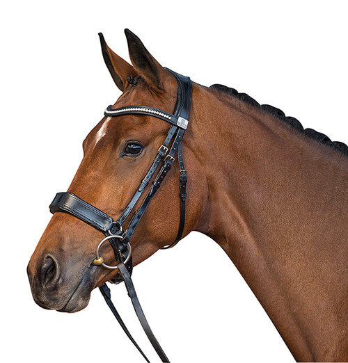 Fairfax Snaffle Bridle