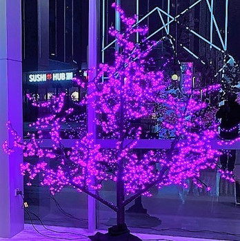 A great addition to any room!