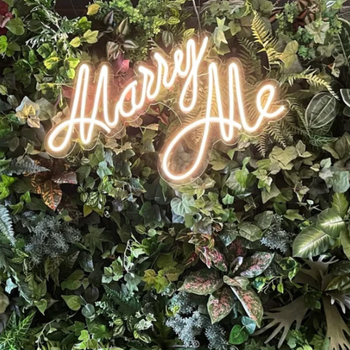 The Hanging Neon Sign Hire Marry Me would be the ultimate proposal decor or the perfect way to celebrate love and add a unique final touch to your scene.