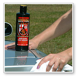 Carnauba Car Wax vs. Paint Sealants, carnauba wax reviews, paint