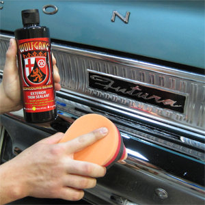 Crystal Coating, Car Trim Restorer For Automotive Trim, Plastics Restorer  Ceramic Coating Trim Restore Highly Concentrated For Plastics, Rubber Surf