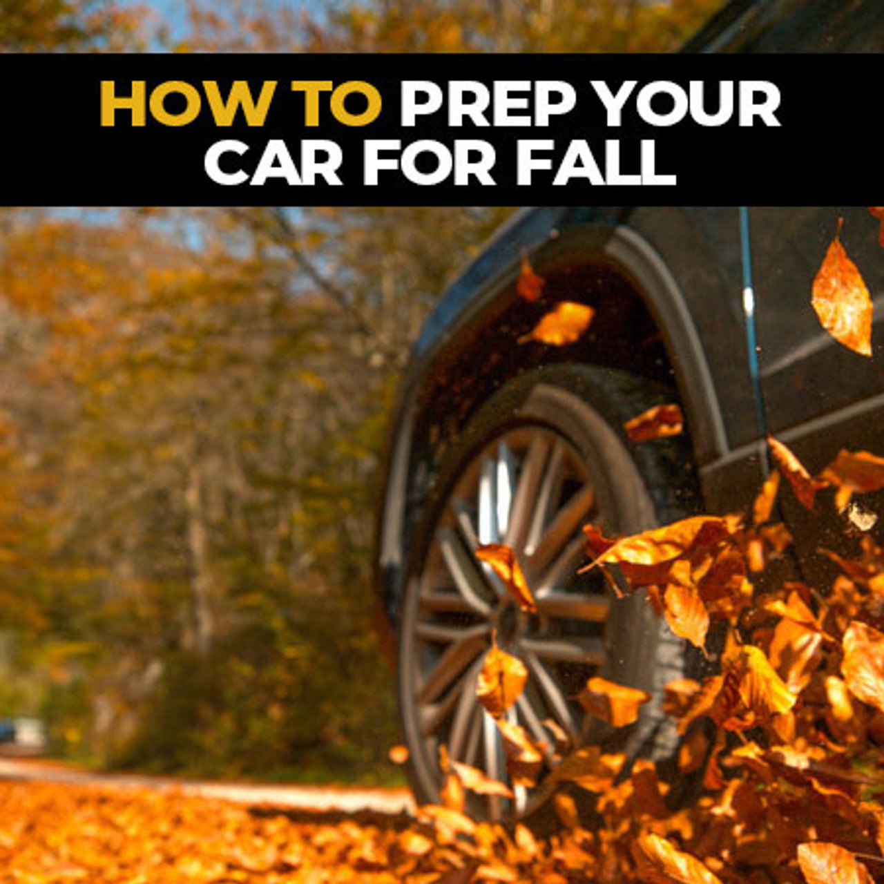 How To Prepare Your Vehicle for Fall