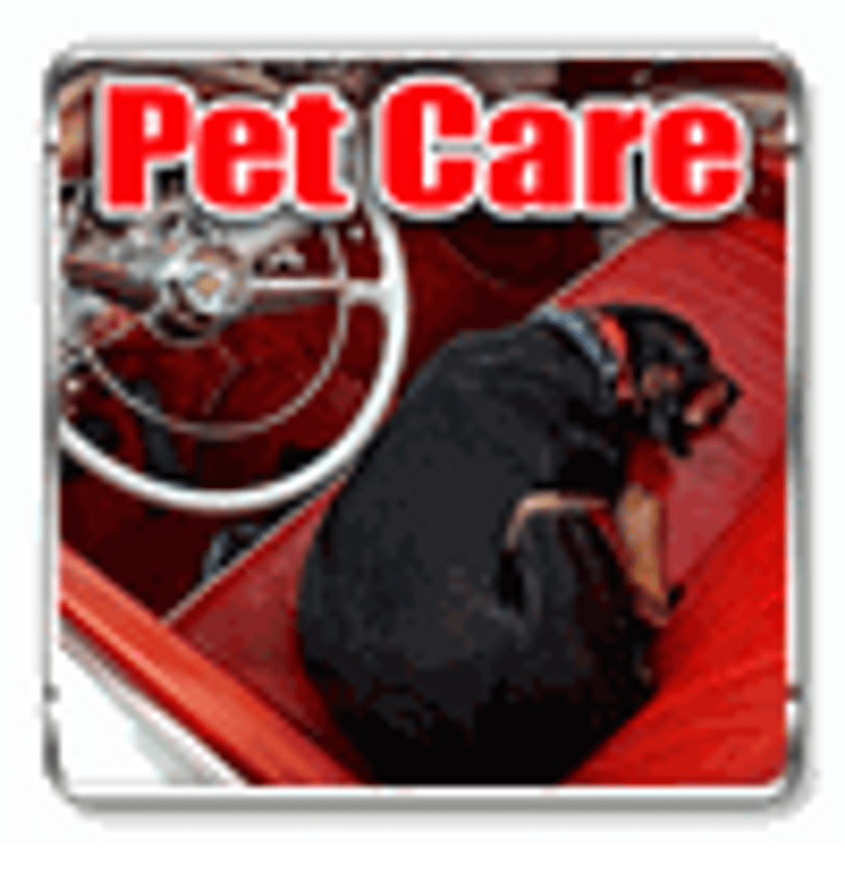 Gifts For Animal Lovers Gifts For Animal Lovers