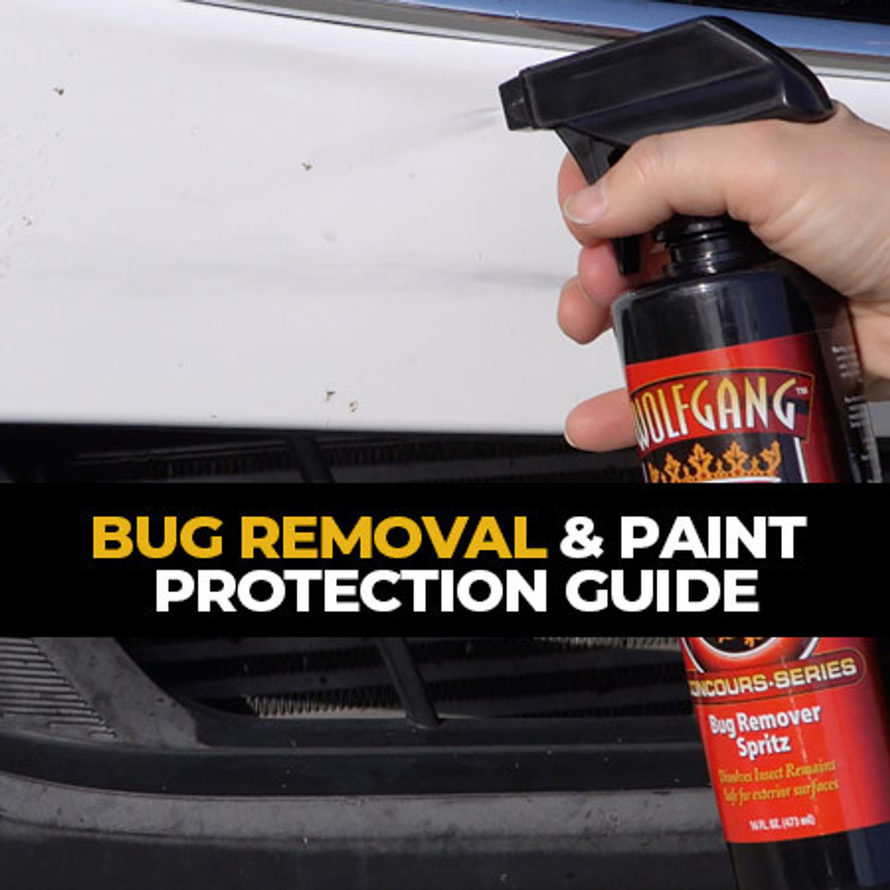 Wolfgang Bug Removal & Paint Protection Guide