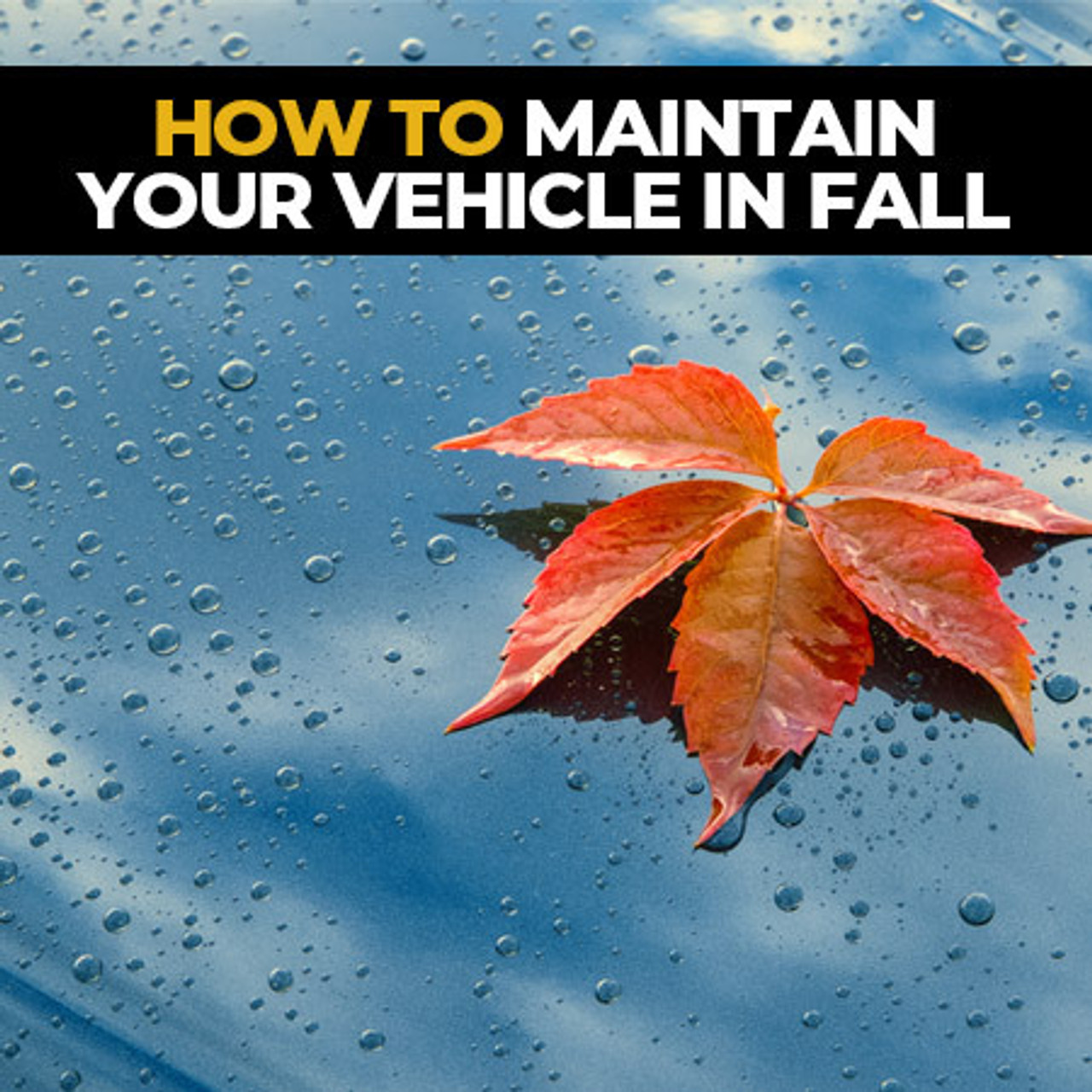 Fall Vehicle Maintenance Guide