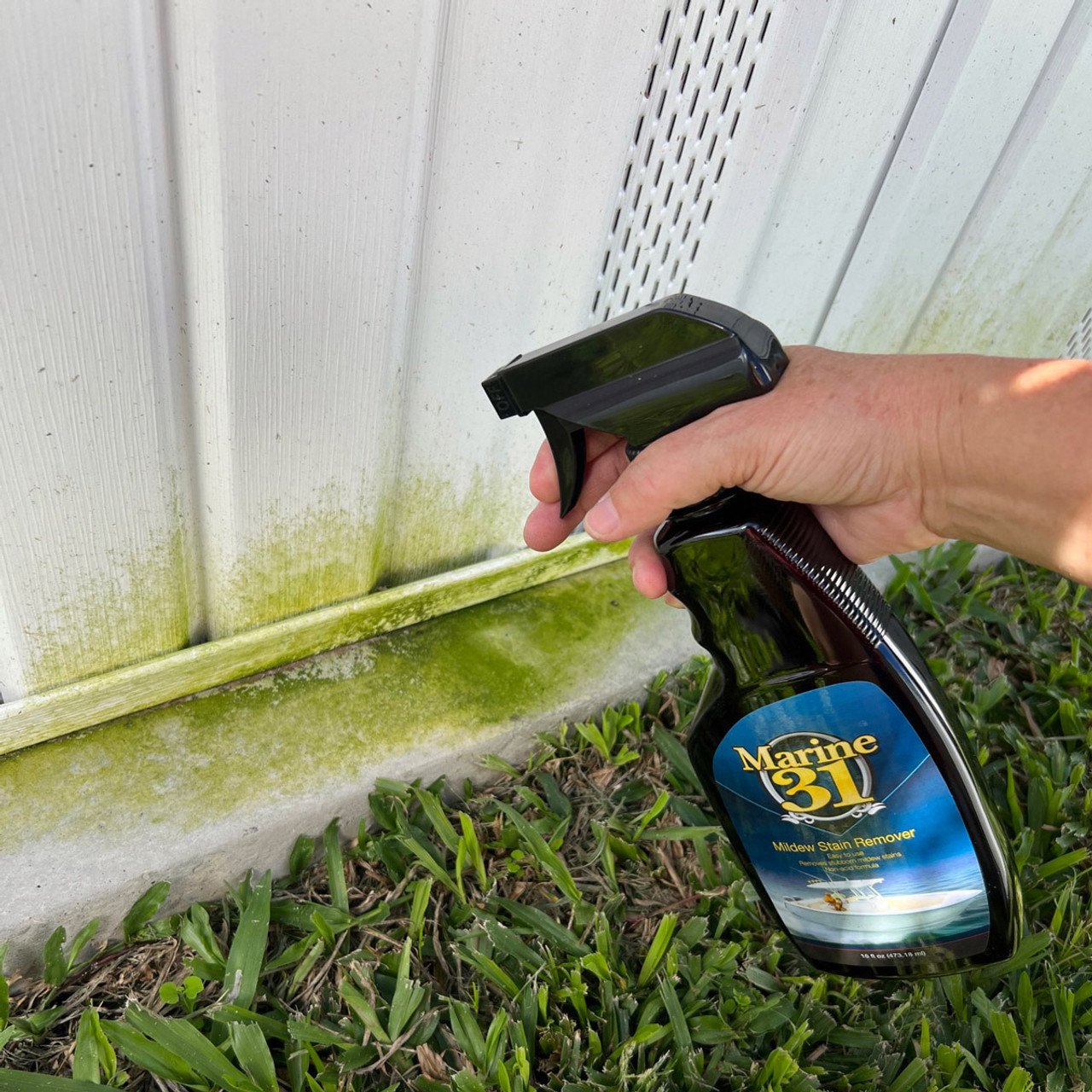 How to Clean and Remove Mildew with the Marine 31 Mildew Remover