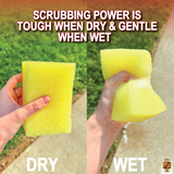 Safe Scrub Bug And Tar Pad Safe Scrub Bug And Tar Pad