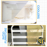 Marine 31 Mildew Stain Remover Gel