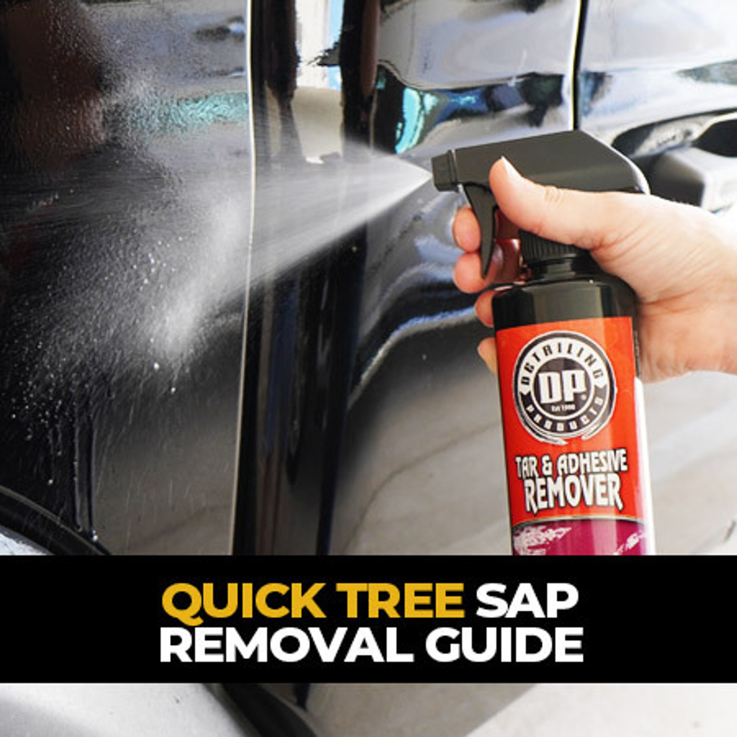 Geek Center Auto Detailing Tips Quick Tree Sap Removal Guide