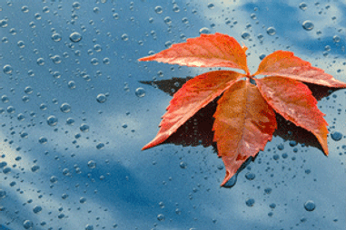 Fall Vehicle Maintenance Guide