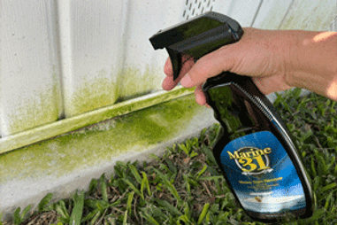 Marine 31 Mildew Stain Remover Home Guide