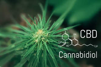 Is Marijuana Better for Pain than CBD?  Is Marijuana Better for Pain than CBD?