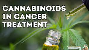 Will RSO Cure Cancer?