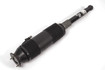 Mercedes 2203209213 ABC Strut - Rear Right | C215 CL W220 S