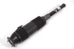 Mercedes 2203209213 ABC Strut - Rear Right | C215 CL W220 S