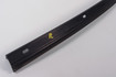 Mercedes 2306901039 A Pillar Rail - Right Black | R230 SL
