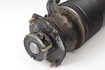 Mercedes 2303203213 AMG ABC Strut - Rear Right | R230 SL