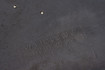 Mercedes 1120100067 Engine Cover | W163 M W202 C C208 A208 CLK W210 E