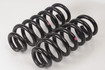 Mercedes 2053242604 Suspension Coil Spring Set x2 - Rear | W205 C