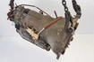 Mercedes 1402700101 Gearbox 722362 (a) | R129 SL W140 V140 C140 S