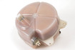 Mercedes 1075000549 Expansion Tank | R107 SL W463 G