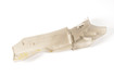 Mercedes 2309184230 Seat Trim Cover - Front Right Beige | R230 SL