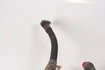 Mercedes 1042300156 A/C Compressor Hose | R129 SL